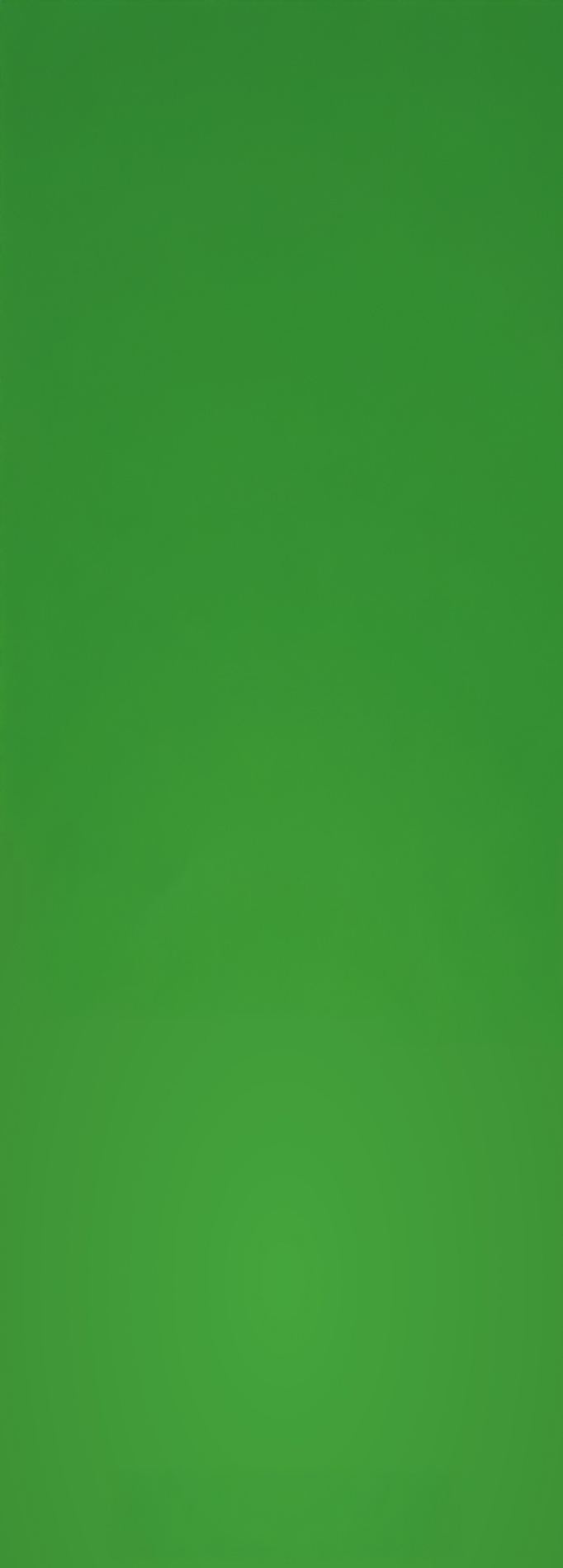 תושב איי אל: רמי לוי