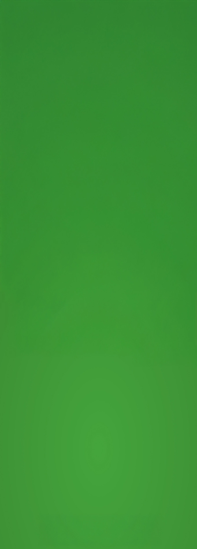 תושב איי אל: רמי לוי